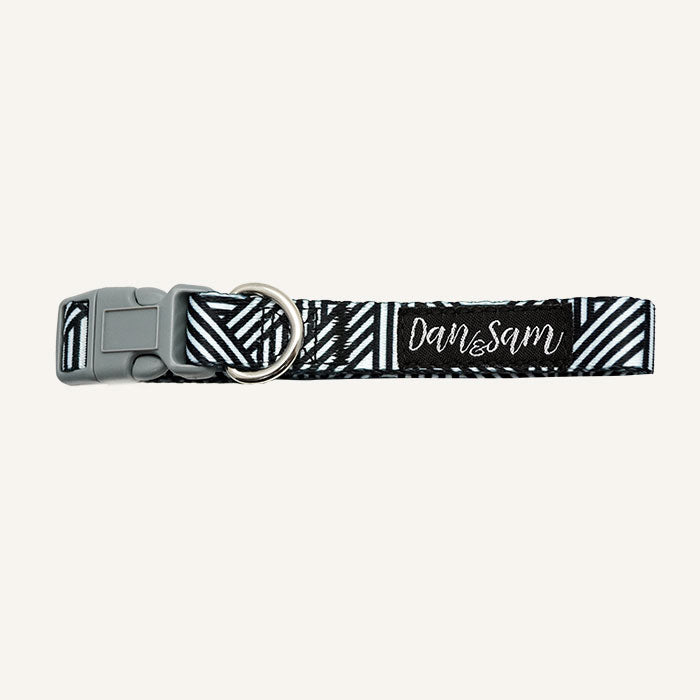 Dan & Sam – Dog Collar – Abstract