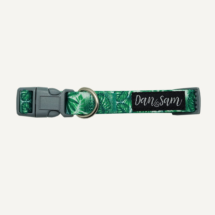 Dan & Sam – Dog Collar – Lahana