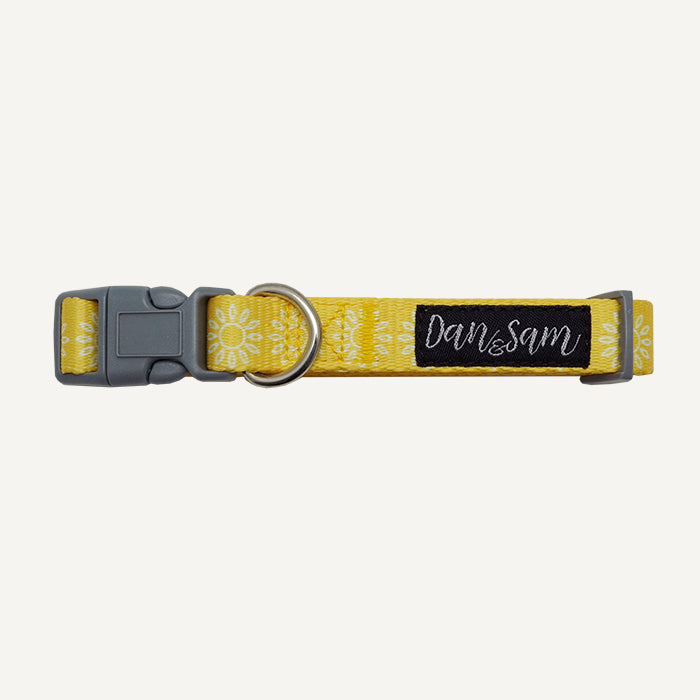 Dan & Sam – Dog Collar – Wild Sunflower