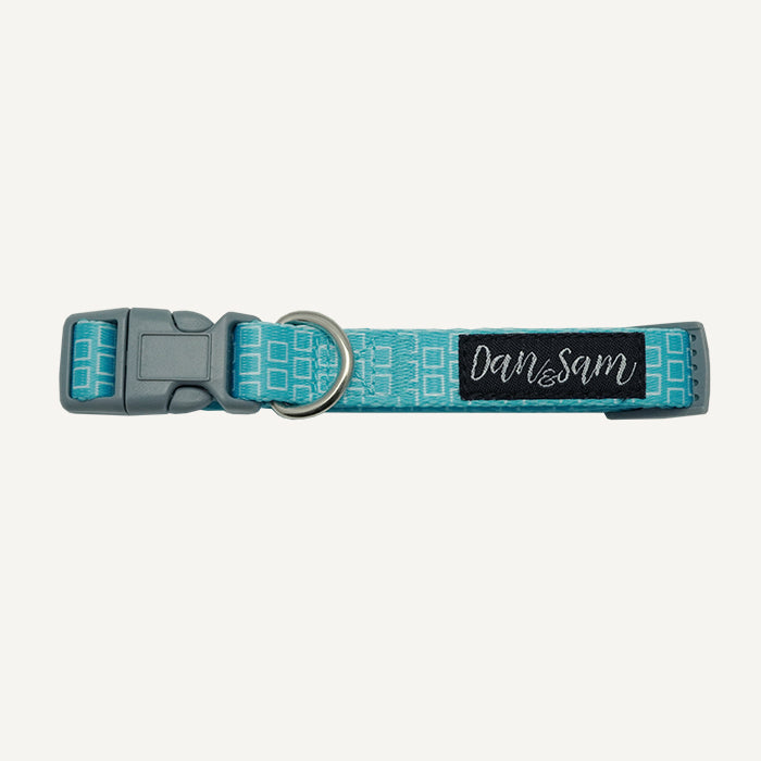 Dan & Sam – Dog Collar – Grooving