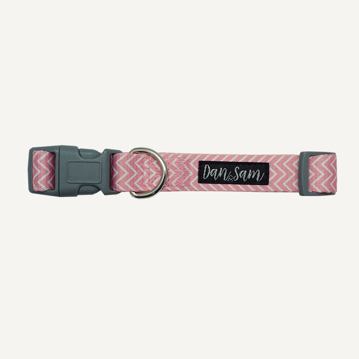 Dan & Sam – Dog Collar – Candy Floss