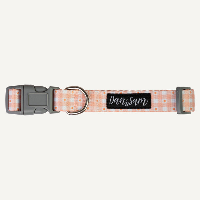 Dan & Sam – Dog Collar – Daisy Picnic