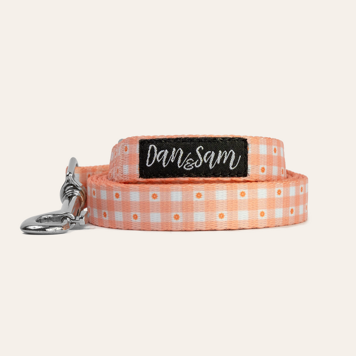 Dan & Sam – Dog Lead – Daisy Picnic