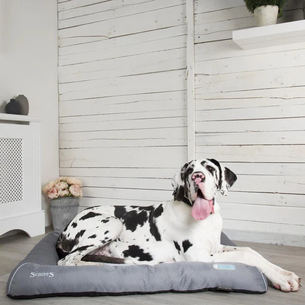 Scruffs – Cooling Bed