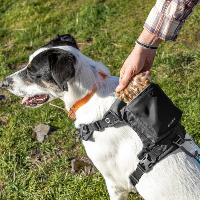 Kurgo – Stash n’ Dash Harness