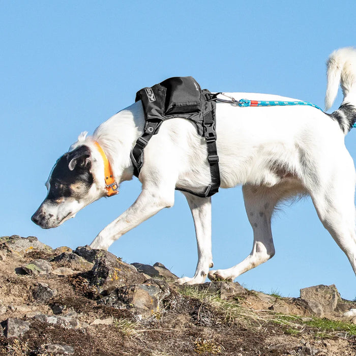 Kurgo – Stash n’ Dash Harness