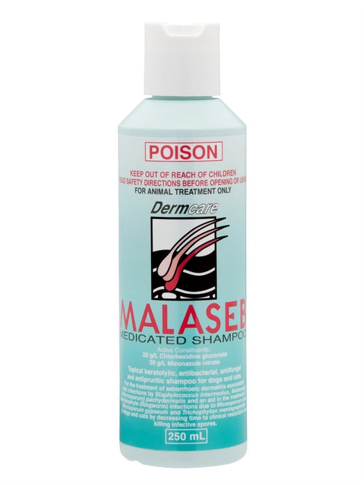 Dermcare – Malaseb – Medicated Shampoo