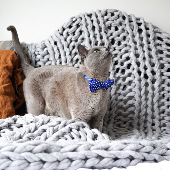 Dan & Sam – Cat Collar & Bowtie – Navy Dream