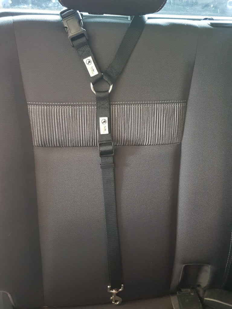 Seat Belts