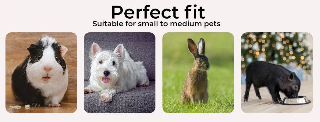 Portable Outdoor Puppy Playpen